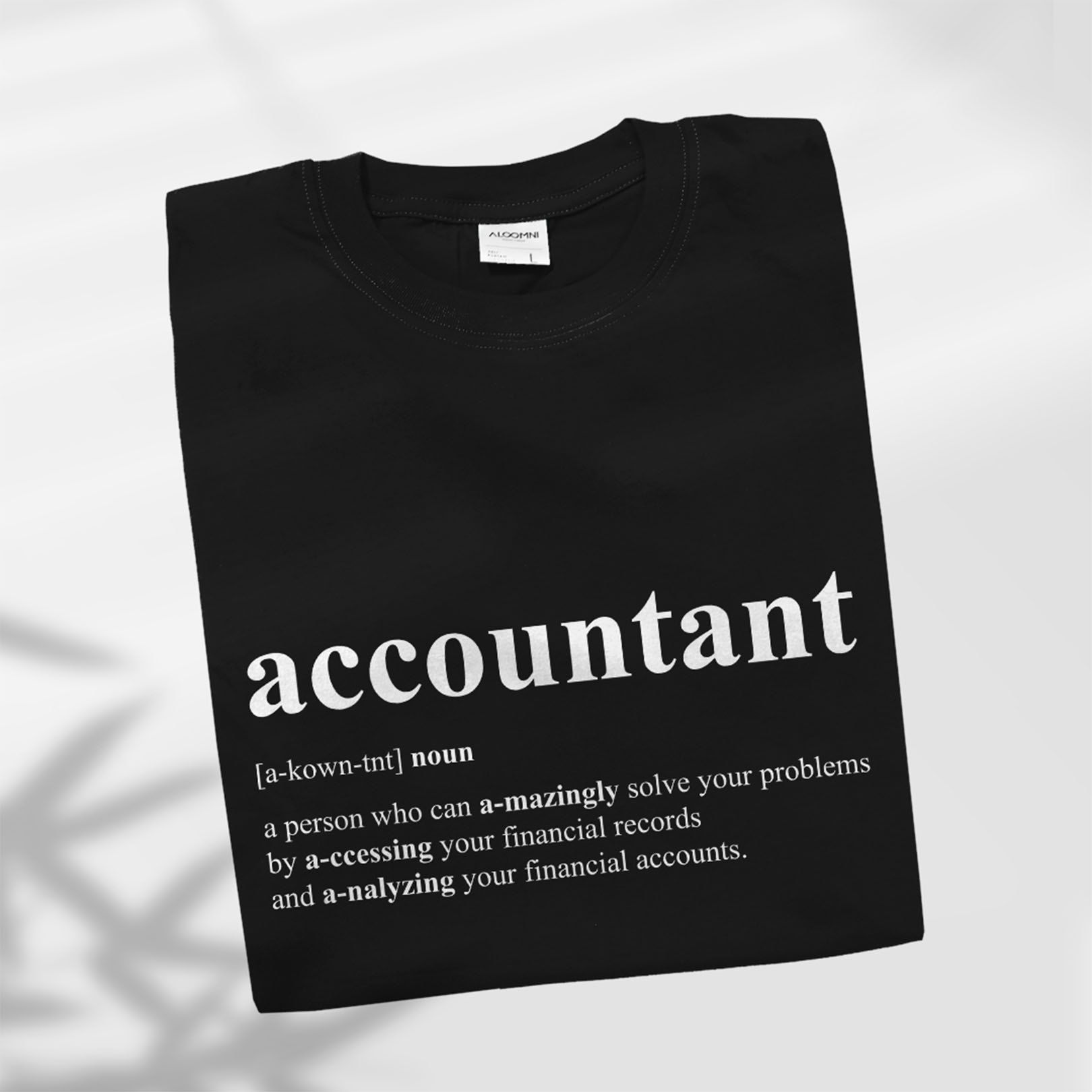 Accountant Noun